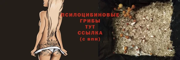 эйфоретик Балахна