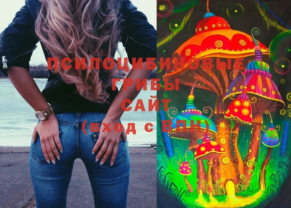 эйфоретик Балахна